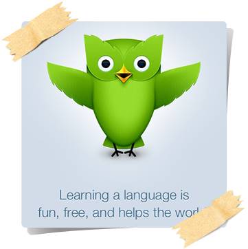 Duolingo app logo one of the best learning app for students